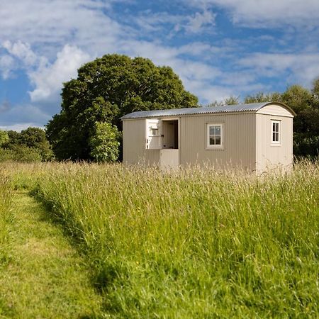 Romantic Secluded Shepherd Hut Hares Rest Southwick  Exteriér fotografie