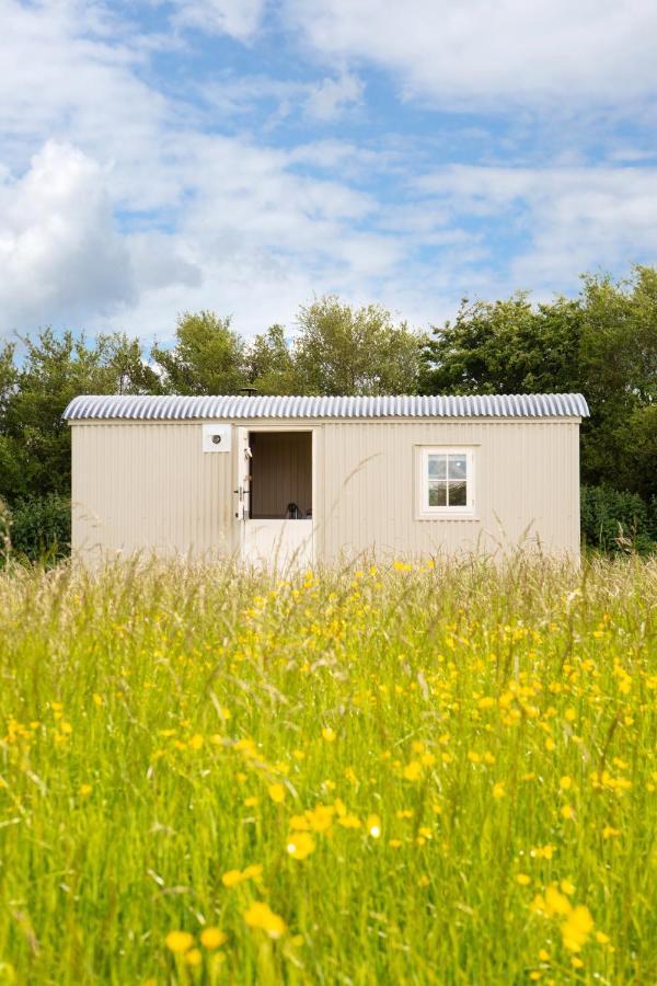 Romantic Secluded Shepherd Hut Hares Rest Southwick  Exteriér fotografie